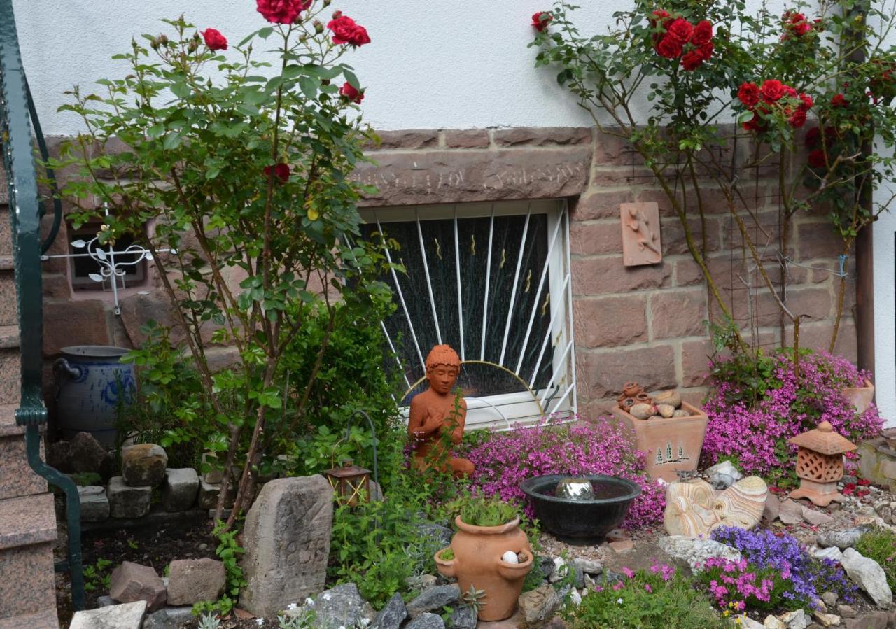 Ferienwohnung Klock 바인센바크 외부 사진